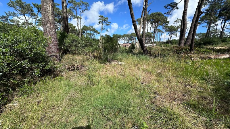 Lote en venta en La Reserva de Montoya
